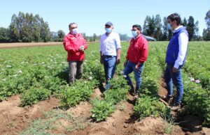 En La Araucanía lanzan campaña para concientizar sobre la crisis hídrica en el país