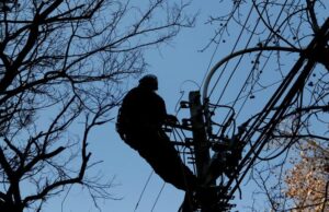 Frontel se despliega tras temporal que dejó sin suministro a varios sectores de La Araucanía