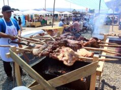 Este fin de semana comienzan las actividades de verano en Toltén