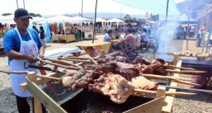 Este fin de semana comienzan las actividades de verano en Toltén