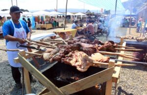 Este fin de semana comienzan las actividades de verano en Toltén