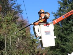 Unión Comunal de Juntas de Vecinos Rural de Villarrica preocupada por cortes luz