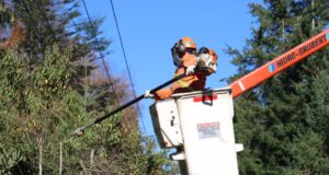 Unión Comunal de Juntas de Vecinos Rural de Villarrica preocupada por cortes luz