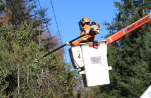 Unión Comunal de Juntas de Vecinos Rural de Villarrica preocupada por cortes luz