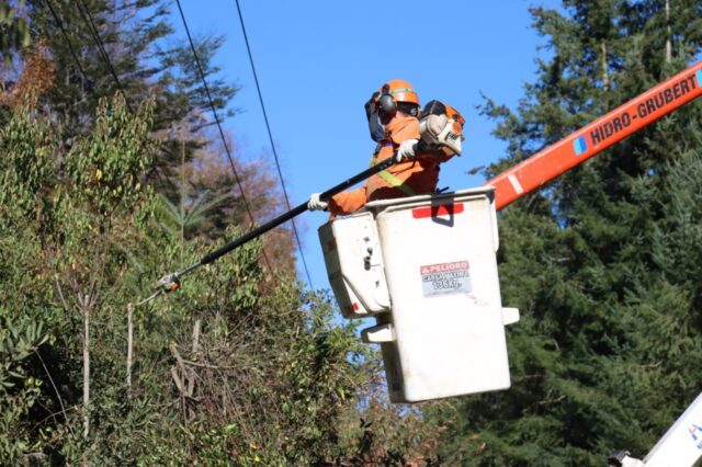Unión Comunal de Juntas de Vecinos Rural de Villarrica preocupada por cortes luz