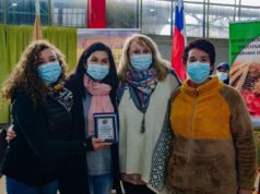 Pitrufquén Celebra Por Primera Vez Día Del Campesino, Con Huaso Filomeno