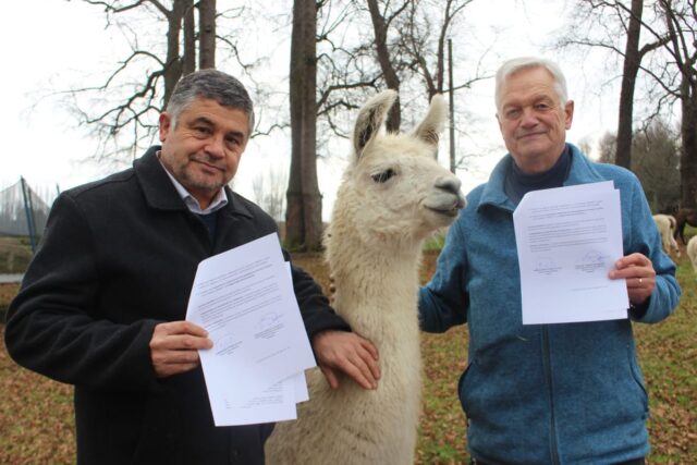 Conmemoran día internacional de los pueblos indígenas en Padre Las Casas