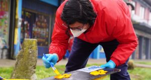 Loncoche es la primera comuna de La Araucanía en marcar pasos peatonales y de mascotas