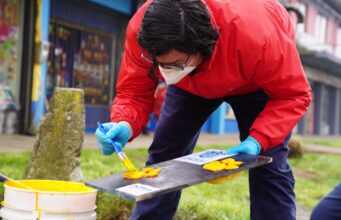 Loncoche es la primera comuna de La Araucanía en marcar pasos peatonales y de mascotas
