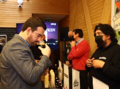 Gobierno Regional da el vamos a la primera ruta cervecera en La Araucanía