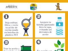 La contaminación silenciosa del aceite de cocina