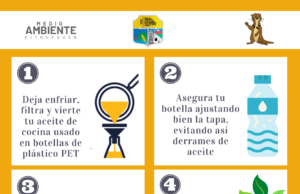 La contaminación silenciosa del aceite de cocina