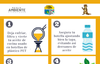 La contaminación silenciosa del aceite de cocina