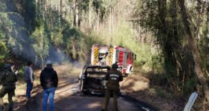 Nuevo ataque a faenas pone en riesgo viabilidad de construcción de APR Pehuenco en Victoria