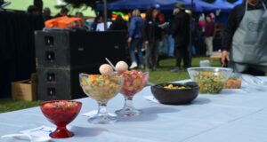 Multitudinaria Concurrencia Tuvo Feria de la Nalca y el Digüeñe en Pitrufquén