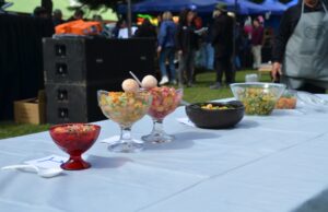 Multitudinaria Concurrencia Tuvo Feria de la Nalca y el Digüeñe en Pitrufquén