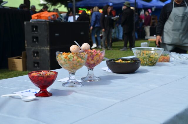 Multitudinaria Concurrencia Tuvo Feria de la Nalca y el Digüeñe en Pitrufquén