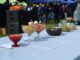 Multitudinaria Concurrencia Tuvo Feria de la Nalca y el Digüeñe en Pitrufquén