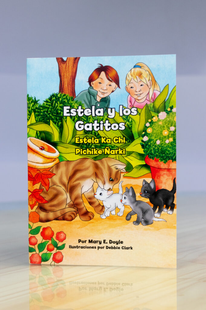 Lanzan inédito libro de cuentos bilingüe castellano-mapuzungun Estela Ka Chi Pichike Ñarki