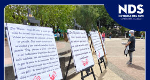 Pitrufquén: conmemoran Día Internacional de la Eliminación de la Violencia contra la Mujer