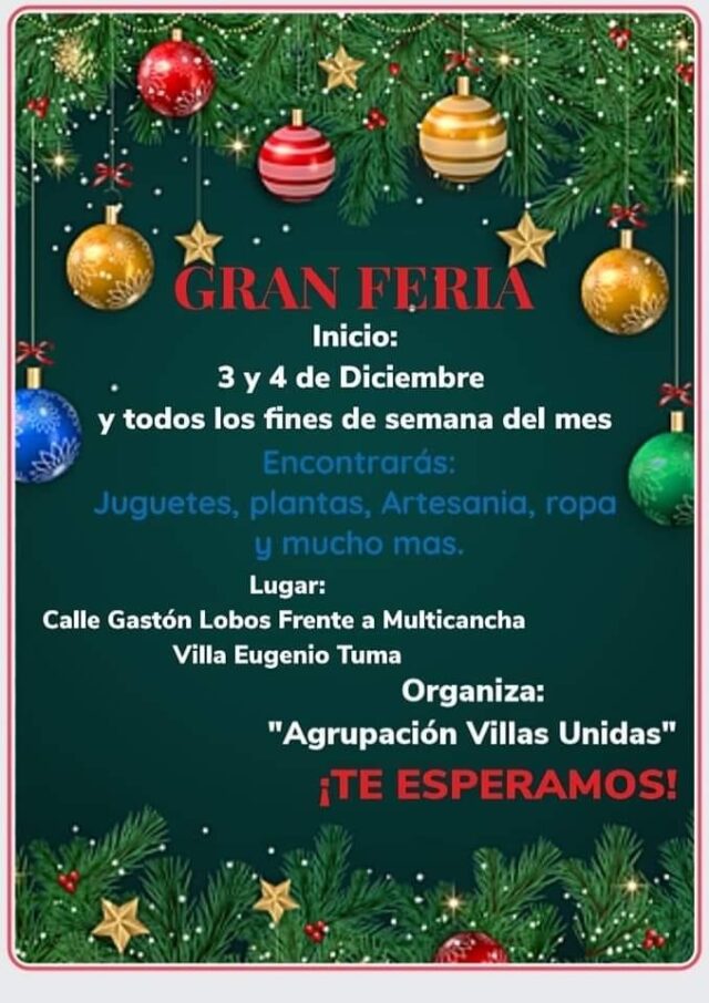 Gran Feria Navideña en Pitrufquén