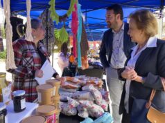 Feria Madres Emprendedoras de Niños Oncológicos estará hasta este miércoles en plaza Aníbal Pinto de Temuco