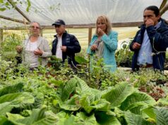 La Araucanía apuesta por la agroecología y realiza primera cumbre internacional