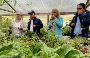 La Araucanía apuesta por la agroecología y realiza primera cumbre internacional