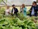 La Araucanía apuesta por la agroecología y realiza primera cumbre internacional