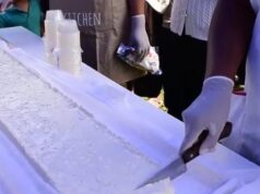 En Freire Buscan Preparar el Quesillo Más Largo de Chile