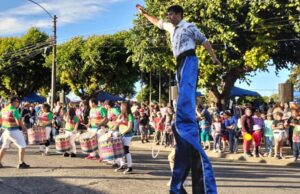 Aniversario 124 de Pitrufquén comenzó con carnaval, fiesta de las flores y festival del Río Toltén