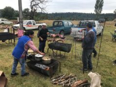 Fiesta del Cordero en Pitrufquén promete gastronomía y entretención