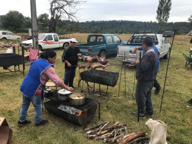 Fiesta del Cordero en Pitrufquén promete gastronomía y entretención