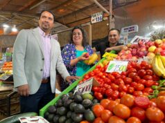 Autoridades de La Araucanía Destacan Baja De Precios De Alimentos En Las Ferias De La Región