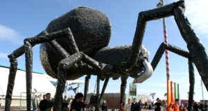 Gobierno Regional Trae El Espectáculo Internacional “Insectes” A Las Calles De Temuco