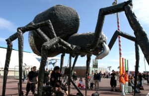 Gobierno Regional Trae El Espectáculo Internacional “Insectes” A Las Calles De Temuco