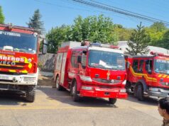 Doscientos treinta unidades de Bomberos con un contingente de mas de mil voluntarios en la región de la Araucanía