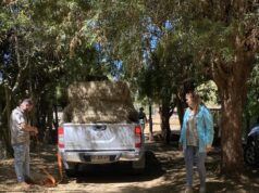 Alcaldesa Jacqueline Romero Entregó Casas de Emergencias y Fardos a Afectados Por Incendios Forestales en Pitrufquén