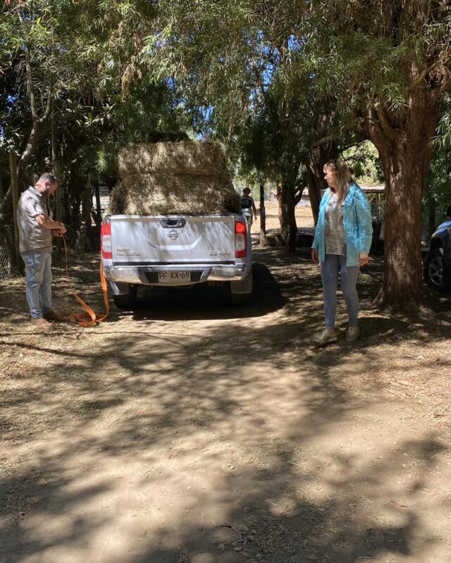 Alcaldesa Jacqueline Romero Entregó Casas de Emergencias y Fardos a Afectados Por Incendios Forestales en Pitrufquén
