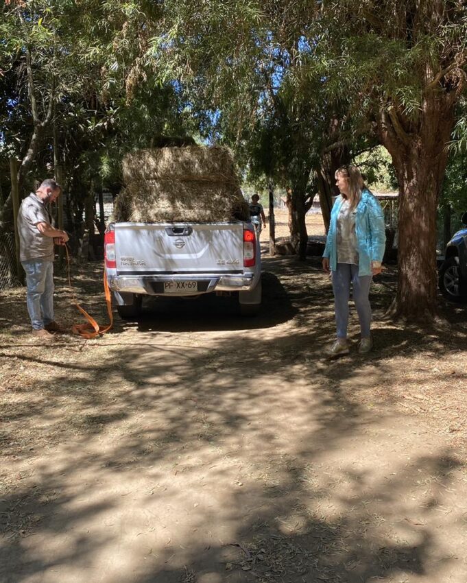 Alcaldesa Jacqueline Romero Entregó Casas de Emergencias y Fardos a Afectados Por Incendios Forestales en Pitrufquén