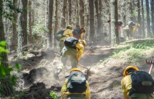 CMPC combate incendios de alta complejidad en ocho comunas de las regiones de Ñuble, Biobío y Araucanía