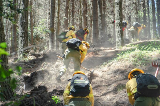 CMPC combate incendios de alta complejidad en ocho comunas de las regiones de Ñuble, Biobío y Araucanía