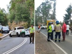 Con Firma Mensual y Arraigo Nacional Quedó Agricultor Responsable Que Talar Árbol que Cayó Sobre Vehículo del Ex Director de Conaf en Pitrufquén