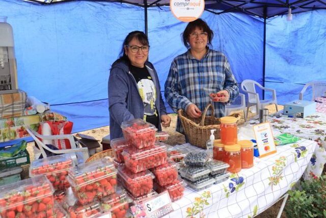 Gorbea: El Liuco Ofreció sus Productos Locales en la IV Fiesta del Berrie