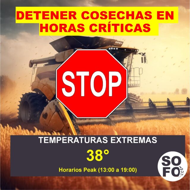 SOFO Llama A Detener Las Cosechas En Horas De Temperaturas Extremas