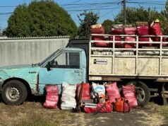 Cuatro Detenidos Acusados de Robo de Leña en Pitrufquén