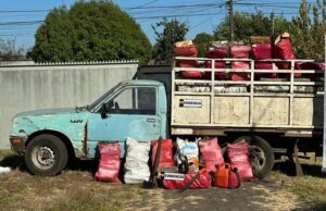 Cuatro Detenidos Acusados de Robo de Leña en Pitrufquén