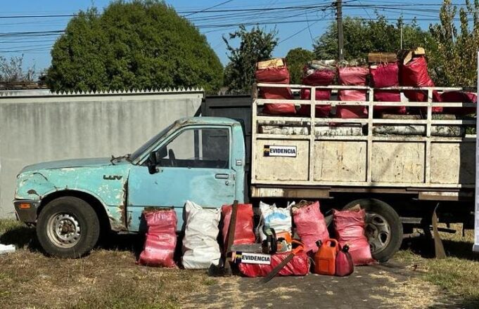 Cuatro Detenidos Acusados de Robo de Leña en Pitrufquén
