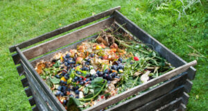 Programa de “composteras urbanas” se aplicará en Villarrica