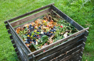 Programa de “composteras urbanas” se aplicará en Villarrica